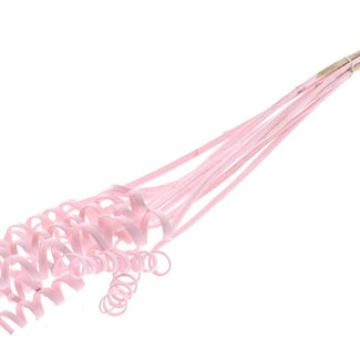 QC Palmspirale auf Stiel | Farbe: Hellrosa | Cane Cone Steckstab | Länge des Steckstabs ± 50 Zentimeter | Pro 10 Steckstäbe