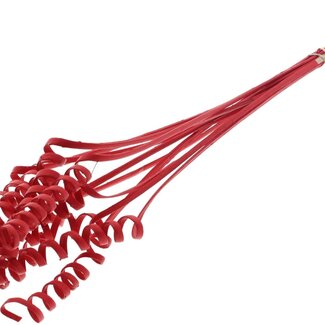 QC Palm Spiral on Stem | Colour: Red | Cane Cone Plant Stake | Stake Length ± 50 centimetres | Per 10 stakes