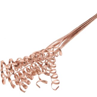 QC Palm Spiral on Stem | Colour: Copper-coloured | Cane Cone Plant Stake | Stake Length ± 50 centimetres | Per 10 stakes