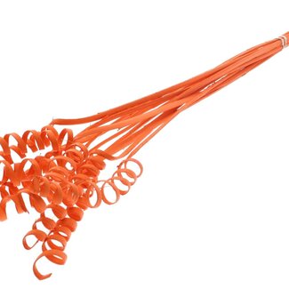 QC Palm Spiral on stem | Colour: Orange | Cane Cone Plant Stake | Stake length ± 50 centimetres | Per 10 stakes