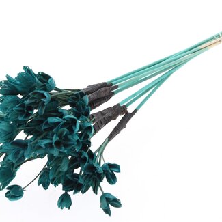 QC Bakuli on stick | Colour: Turquoise | Beech Nut Seed Pod Insert | Length ± 50 centimetres | 10 inserts per bunch