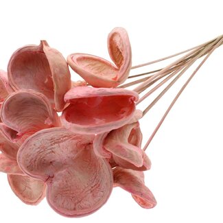 QC Bleached Badam on stick | Colour: Light pink | Length of stick approximately 50 centimetres | 10 sticks per bunch