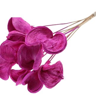 QC Bleached Badam on stick | Colour: Lilac | Length of stick approximately 50 centimetres | 10 sticks per bunch