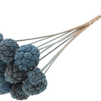 QC Bleached Atta Fruit on stick | Colour: Frosted Light Blue | Custard Apple Pick | Length ± 50 centimetres | 10 picks per bunch