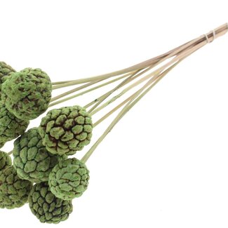 QC Bleached Atta Fruit on stick | Colour: Mint Green | Custard Apple Pick | Length ± 50 centimetres | 10 picks per bunch