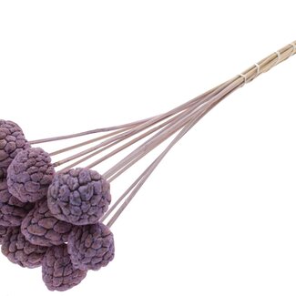 QC Bleached Atta Fruit on stick | Colour: Frosted Milkapurple | Custard Apple Pick | Length ± 50 centimetres | 10 picks per bunch