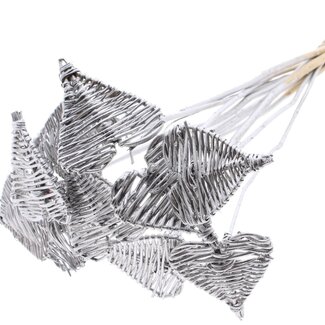 QC Rattan Lata Heart on stick | Colour: Silver-coloured | Lata Heart flat Plant Stake | Diameter 8 centimetres | Length ± 50 centimetres | 10 plant stakes per bunch