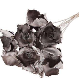 QC Dried Palm Cup on stem | Colour: Champagne | Length ± 50 centimetres | 10 stems per bunch