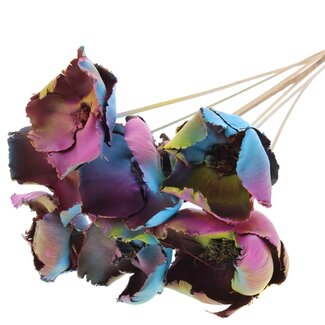 QC Dried Palm Cup on stem | Ibiza mix | Colour: Mixed Colours | Length ± 50 centimetres | 10 stems per bunch