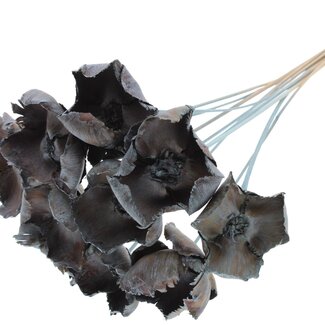 QC Dried Palm Cup on stem | Colour: Frosted Light Blue | Length ± 50 centimetres | 10 stems per bunch