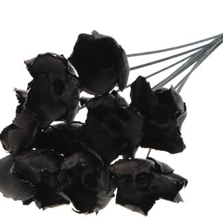 QC Dried Palm Cup on stem | Colour: Black | Length ± 50 centimetres | 10 stems per bunch