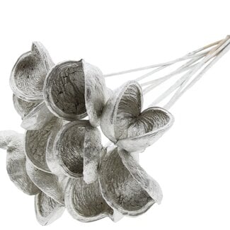 QC Almond on stem | Colour: Platinum-coloured | Length of pick ± 50 centimetres | 10 stems per bunch | Per bunch