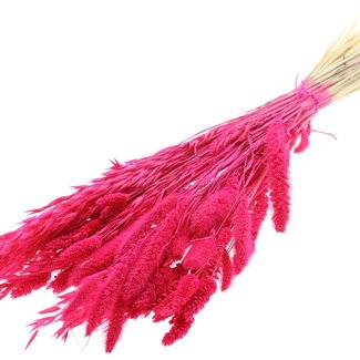 QC Bouquet Bleached Dried Flowermix | Colour: Cherry-coloured | Length ± 60 centimetre | Per bunch