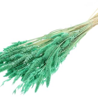 QC Strauß Gebleichte Getrocknete Blumenmix | Farbe: Mintgrün | Länge ± 60 centimeter | Pro Bund