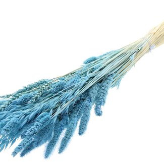 QC Strauß Gebleichte getrocknete Blumenmix | Farbe: Hellblau | Länge ± 60 centimeter | Pro Bund