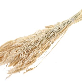 QC Strauß Gebleichte Getrocknete Blumenmix | Farbe: Weiß | Länge ± 60 centimeter | Pro Bund