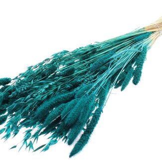 QC Strauß Gebleichte Getrocknete Blumenmix | Farbe: Türkis | Länge ± 60 centimeter | Pro Bund