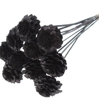 QC Half Pine Cone on Stick | Colour: Black | Diameter 5 - 7 centimetres | Length ± 50 centimetres | 10 picks per bunch
