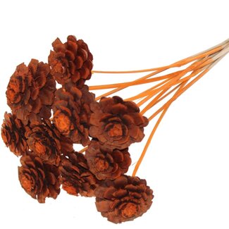 QC Half Pine Cone on Stick | Colour: Orange | Diameter 5 - 7 centimetres | Length ± 50 centimetres | 10 picks per bunch