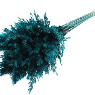 QC Dried Pampas Plumes | Colour: Turquoise | Pampas Dried Flowers | Length ± 70 centimetres | 10 plumes per bunch | Per bunch