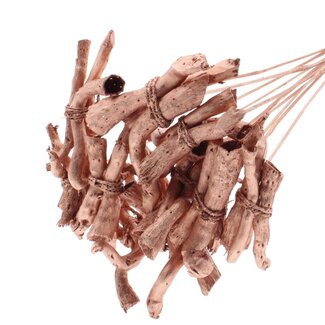 QC Gandiraj Branches on Stick | Colour: Metallic Copper | Gandiraj Pick | Length ± 50 centimetres | 10 picks per bunch