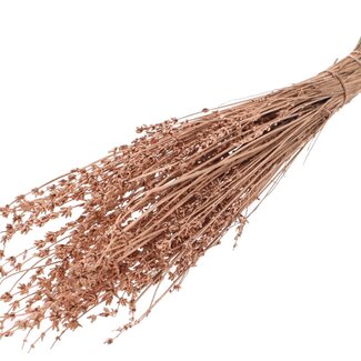QC Dried Lavender | Colour: Metallic Copper | Lavender Dried Flowers | Length ± 50 centimetres | Per bunch