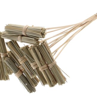 QC Kore Bouquet on Stick | Colour: Natural Brown | Kore Stick | Stick Length ± 50 centimetres | 10 sticks per bunch