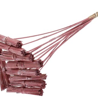 QC Kore Sträußchen auf Stiel | Farbe: Metallic Rot | Kore Einstecker | Länge Einstecker ± 50 Zentimeter | 10 Einstecker pro Bund