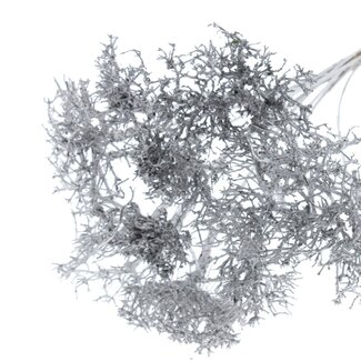 QC Dry Tree on stick | Colour: Metallic Silver | Dry Tree Stick | Stick length ± 50 centimetres | 10 sticks per bunch