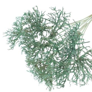 QC Dry Tree on stick | Colour: Mint green | Dry Tree Stick | Stick length ± 50 centimetres | 10 sticks per bunch