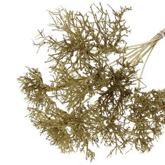 QC Dry Tree on stick | Colour: Metallic Gold | Dry Tree Stick-in | Stick-in length ± 50 centimetres | 10 stick-ins per bunch