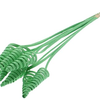 QC Palm Spiral on Stem | Colour: Mint Green | Cane Cone Plant Stake | Stake Length ± 50 centimetres | Per 10 stakes