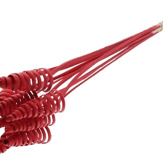 QC Palm Spiral on Stem | Colour: Red | Cane Cone Plant Stake | Stake Length ± 50 centimetres | Per 10 stakes