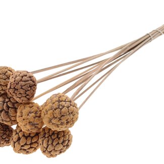 QC Bleached Atta Fruit on stick | Colour: Frosted Salmon | Custard Apple Pick | Length ± 50 centimetres | 10 picks per bunch