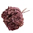 Preserved Hydrangea | Colour: Bordeaux red | Hydrangea Preserved Dried Flowers | Length ± 30 centimetre | Per stem