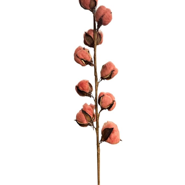 Artificial cotton branch with cotton bolls | Colour: Salmon pink | Length ± 60 centimetre | 9 bolls per stem | Per stem