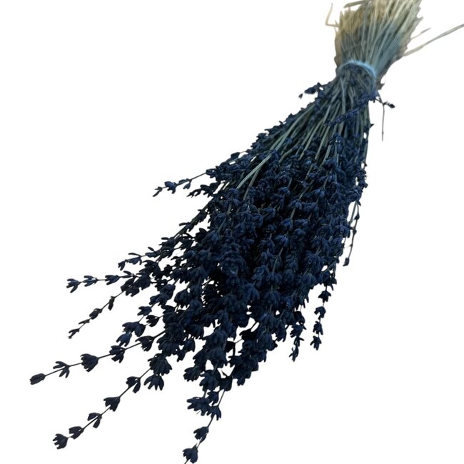Getrockneter Lavendel | Farbe: Dunkelblau | Lavendel Trockenblumen | Länge ± 50 centimeter | Gewicht 100 gram | Pro Bund