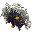 Dried flower bouquet “Lilac Dream” | Colour: Mixed colours | Length ± 50 centimetres | with purple and white flowers | Per bouquet