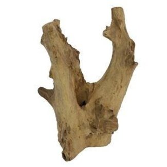 HBXD Decorative Branch “Petrified Teak” | Colour: Brown | Dried Decoration | Height 60 centimetres | Diameter 30 centimetres | Per branch