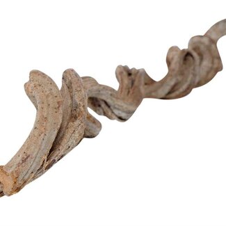 HBXD Decorative Branch “Cipo Rosca” | Colour: Brown | Dried Decoration | Length 200 centimetres | Width 10 centimetres | Per branch