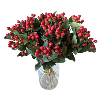 Freshy Fresh Natural White Hypericum “Cool Romance” | Fresh Flowers | Length ± 50 centimetre | 25 stems per bunch | Per bunch