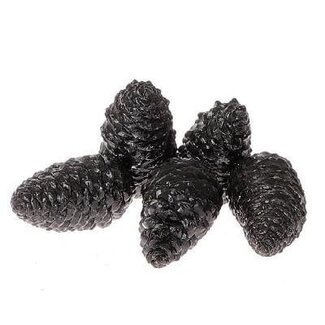 4A Black Waxed Maritima Pinecones | Christmas Decoration | Length 12 centimeter | Per 5 pinecones