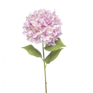 4A Light pink Hydrangea Artificial flowers | Artificial Hydrangea | Length ± 90 centimeter | Per 2 stems