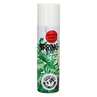 4A Care Spring Leaf Shine 36oz 250ml