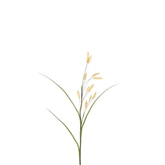 4A Dried Bunny Tail Artificial Stem | Colour: Beige | Dried Bunny Tails | Length ± 114 centimeter | Per 4 artificial stems