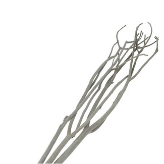 4A Dried Mitsumata flake Branches | Colour: Grey | Dried decoration | Length ± 115 centimetre | 3 branches per bunch | Per bunch