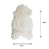 Vitt Fårskinn 90 Cm - Vit - thumbnail 2