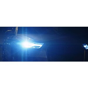 Philips Philips Xenon D3S Whitevision Gen2