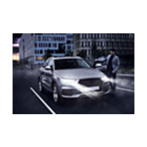 Philips Philips Xenon D2R Whitevision Gen2