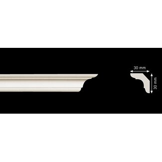Homestar C40 (30 x 30 mm), lengte 2 m